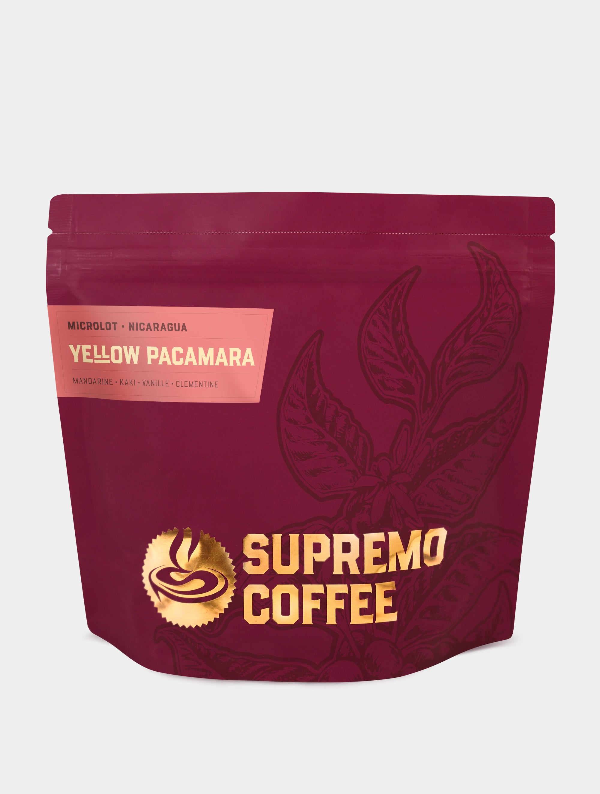 Yellow Pacamara
